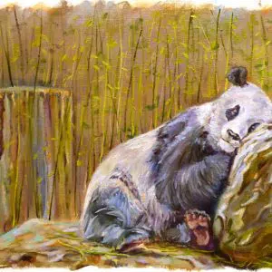 сонная панда этюд маслом